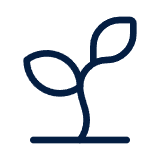 Sprout icon